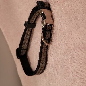 Dog collar